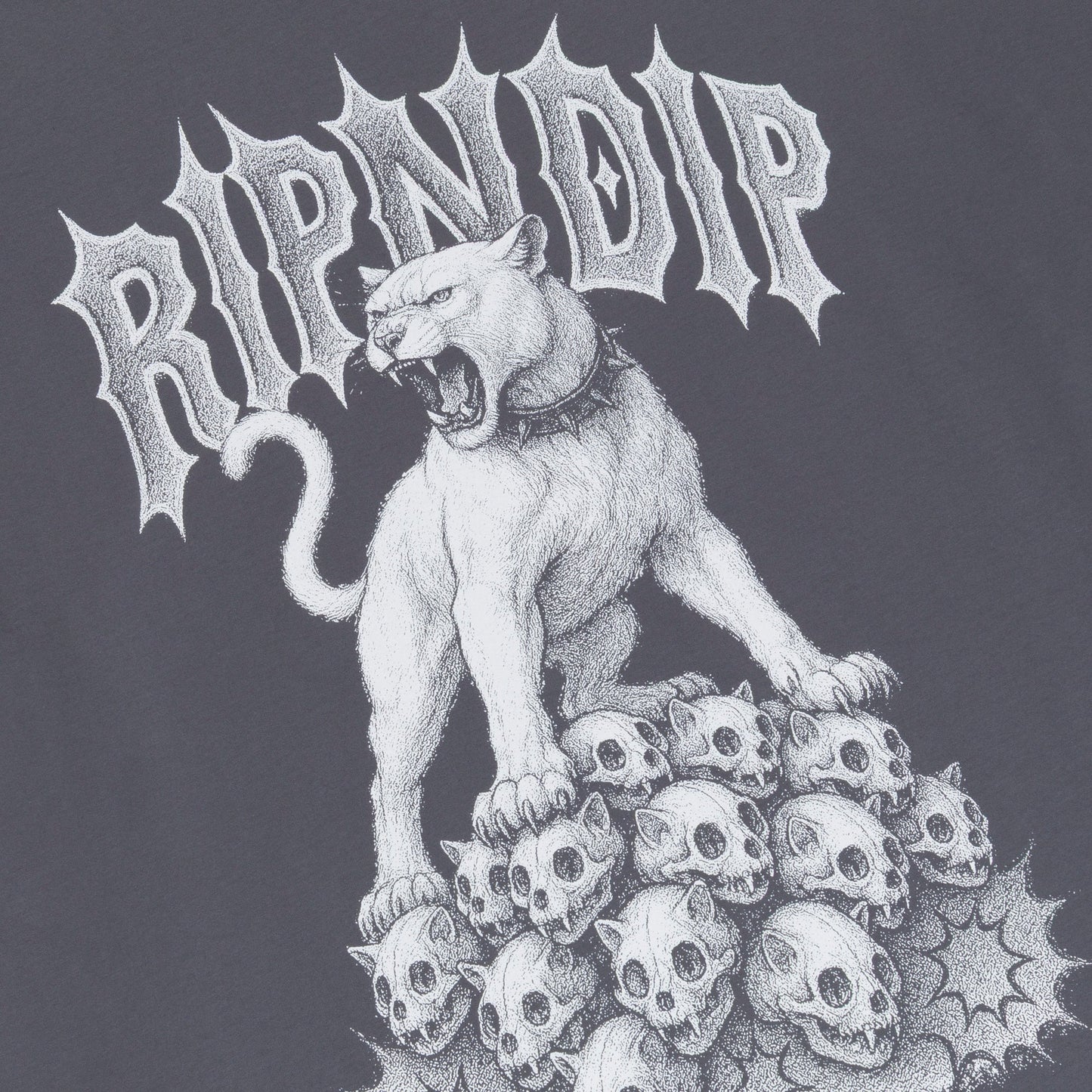 PLAYERA WASTELAND (CHARCOAL)