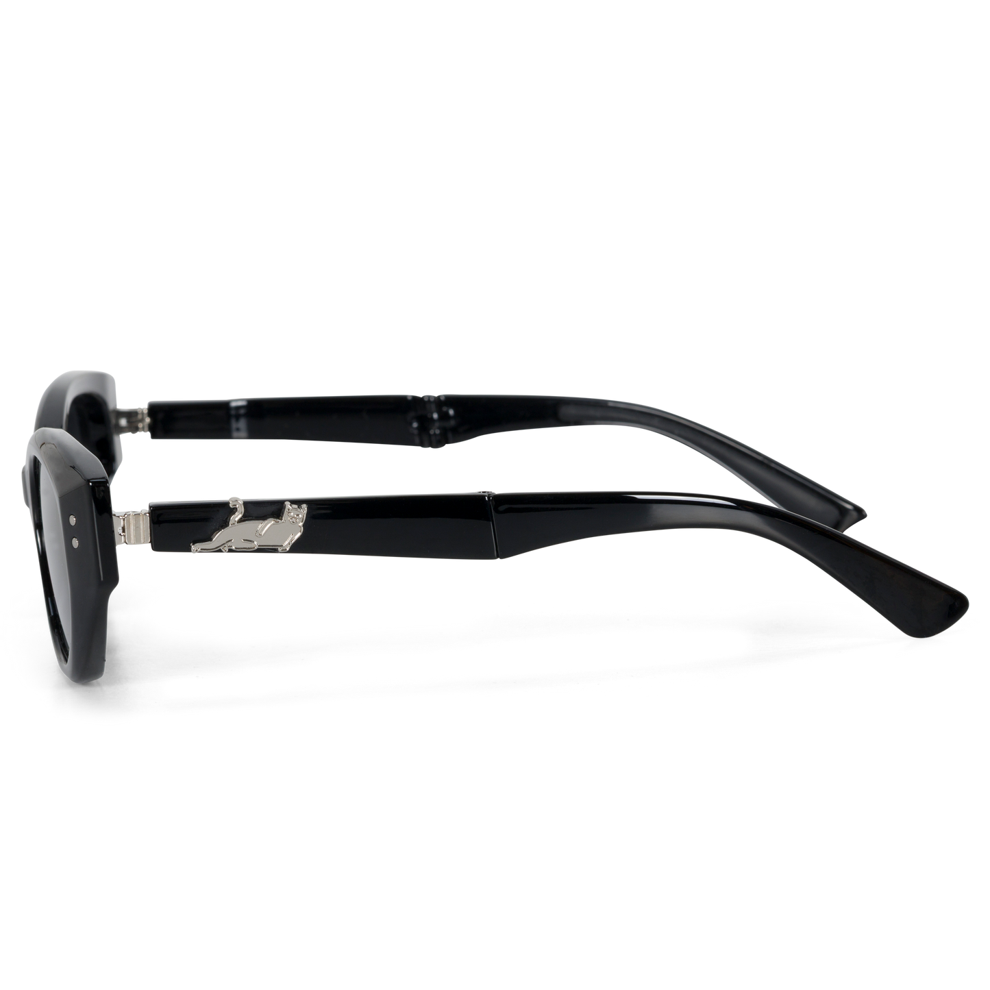 GAFAS DE SOL PLEGABLES CASTANZA (NEGRO)