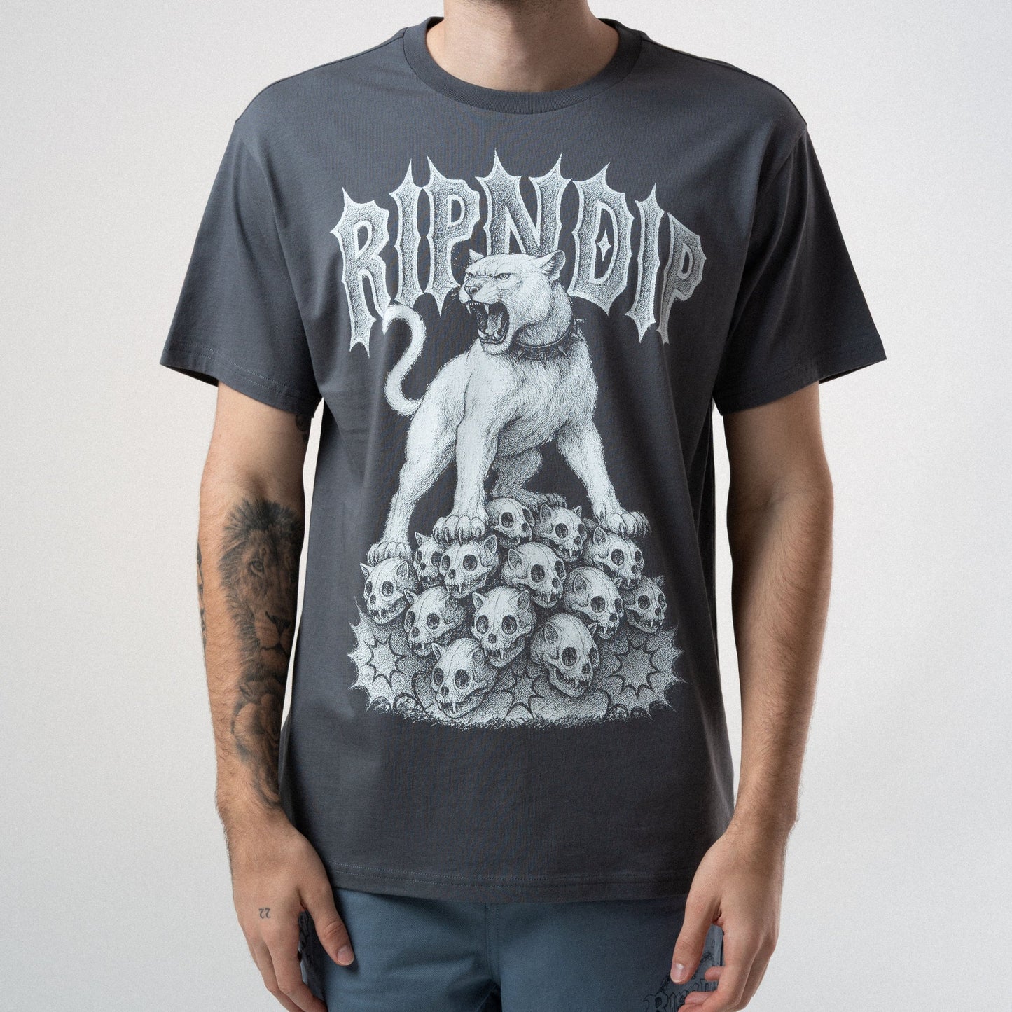 PLAYERA WASTELAND (CHARCOAL)