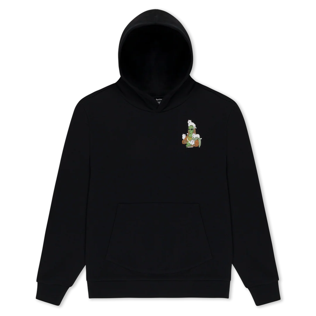 HOODIE HERE ALL ALONG (NEGRO)