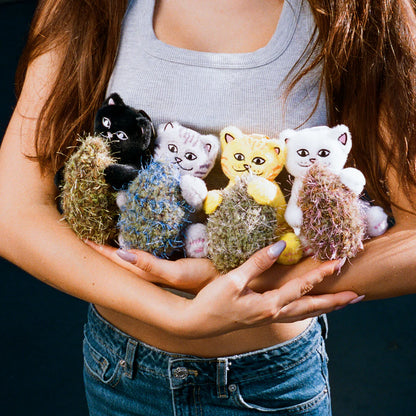 NERM BOO BOO & FRIENDS “NUGS” (Bolsa Misteriosa)