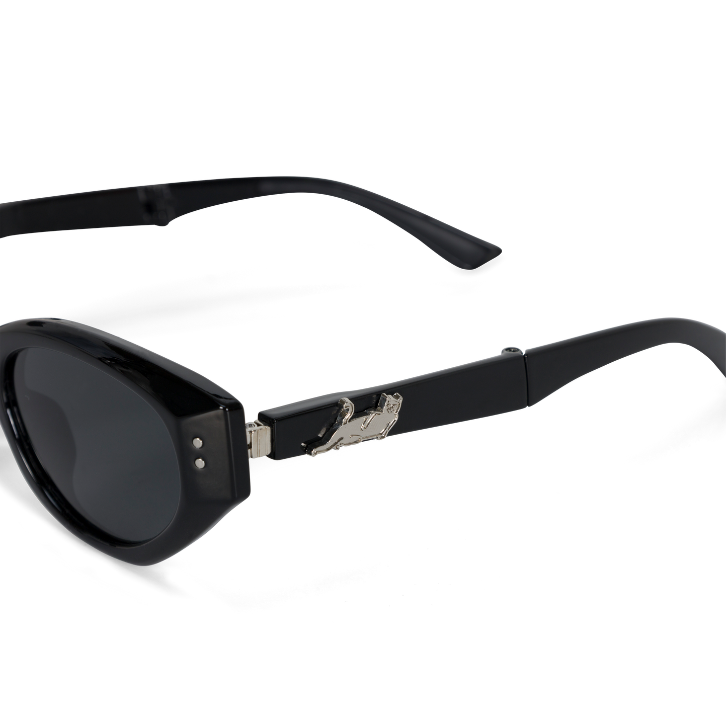 GAFAS DE SOL PLEGABLES CASTANZA (NEGRO)