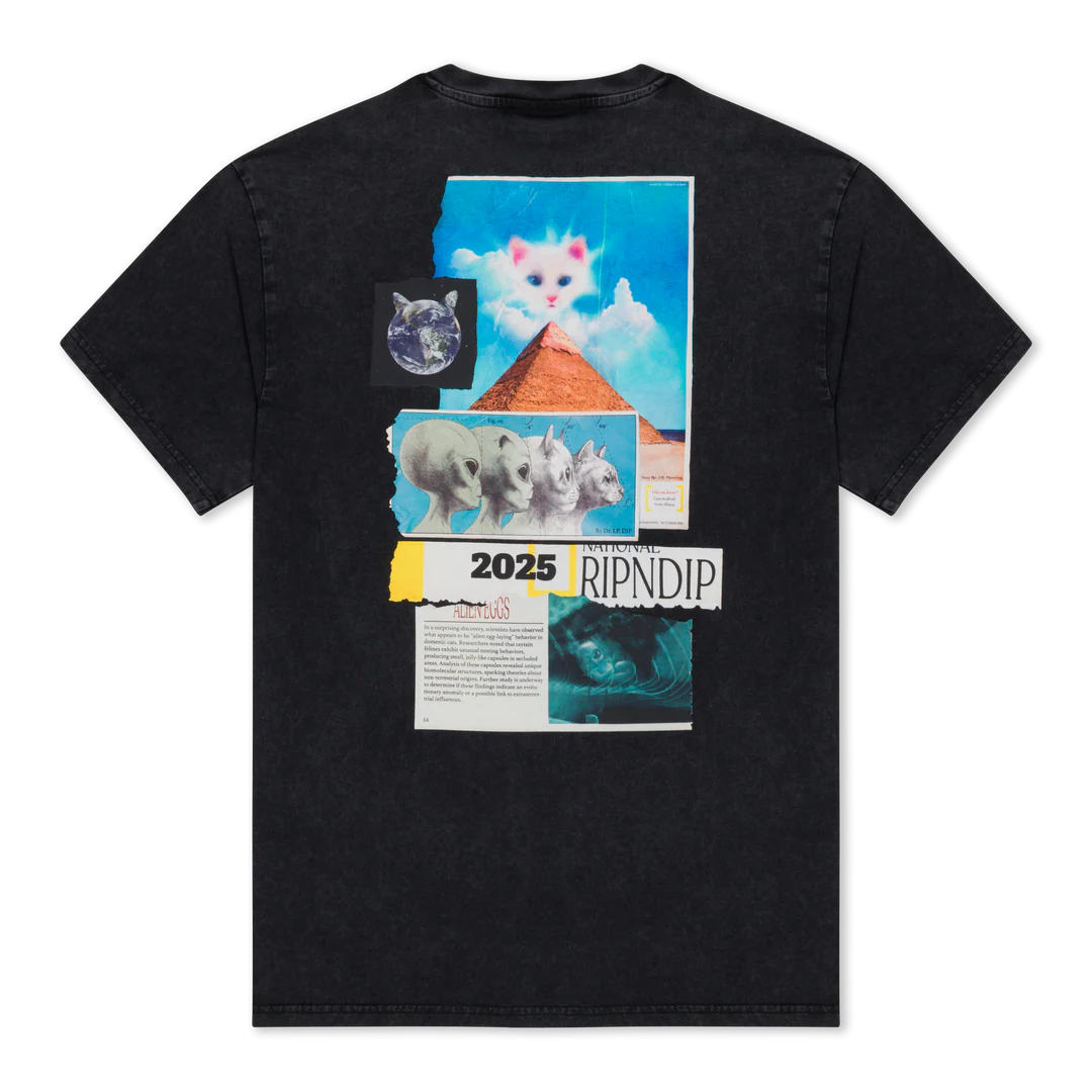 PLAYERA NERM GEO (BLACK VINTAGE WASH)