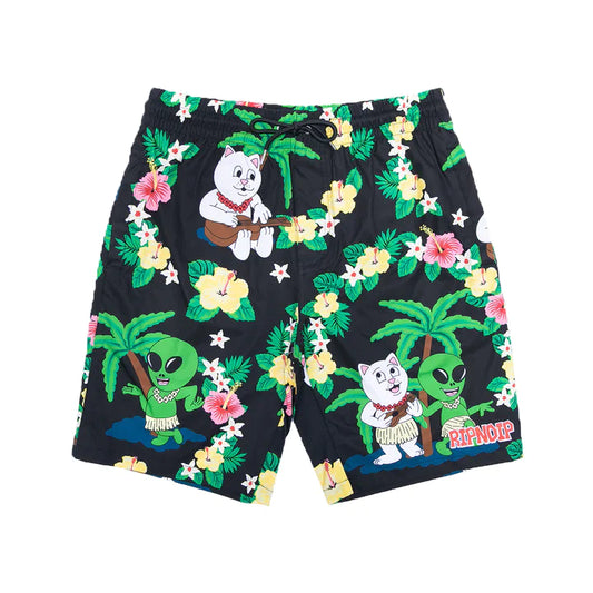 Calzoneta ALOHA NERM (Negro)