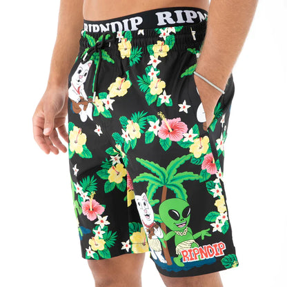 Calzoneta ALOHA NERM (Negro)